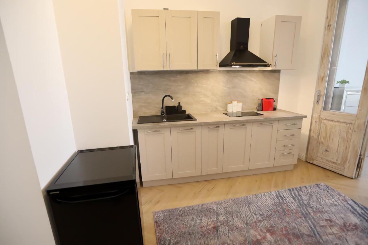 Appartement Alexander Flat_Alecsandri à Oradea Extérieur photo