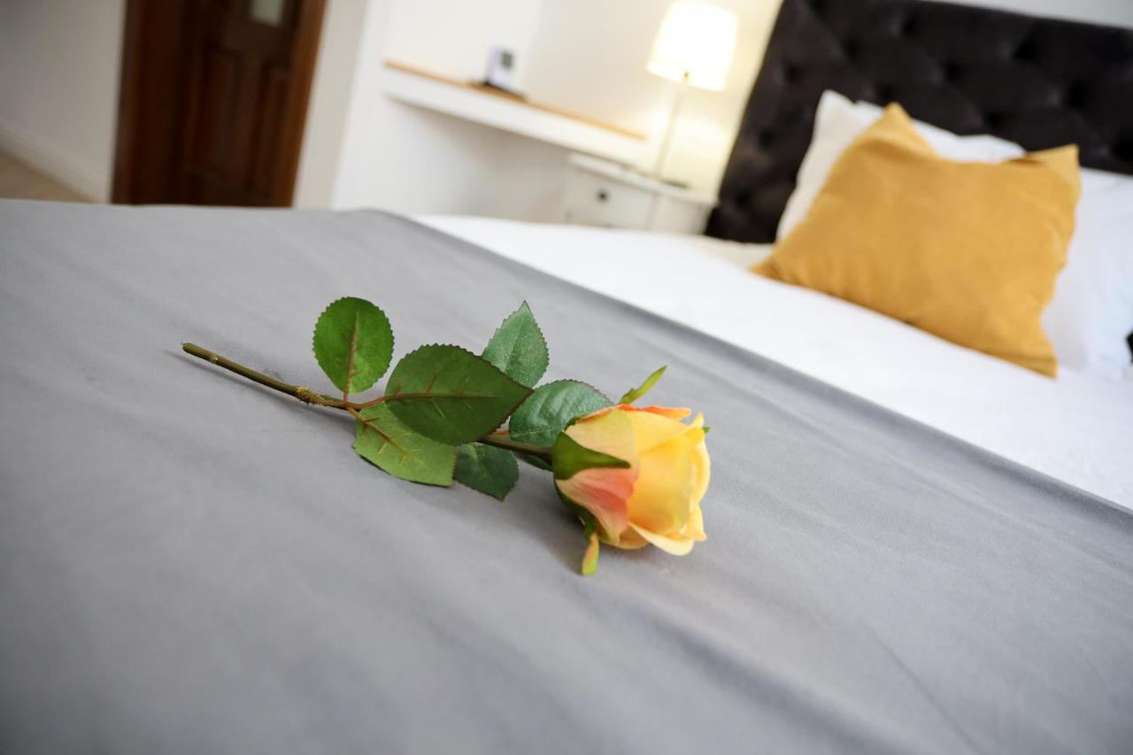 Appartement Alexander Flat_Alecsandri à Oradea Extérieur photo